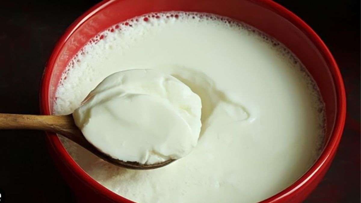 सर्दियों में भी जमेगी मलाईदार-थक्केदार दही, बस इस एक ट्रिक से जमाकर देखें Curd