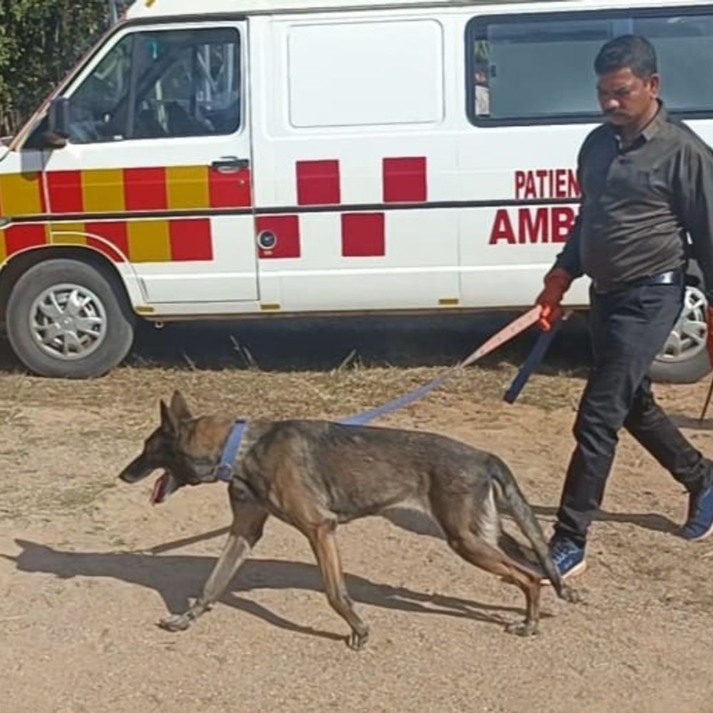 मटासी पीडीएस दुकान से 31 बोरी चावल और 6 बोरी शक्कर ले गए चोर, जांच शुरू