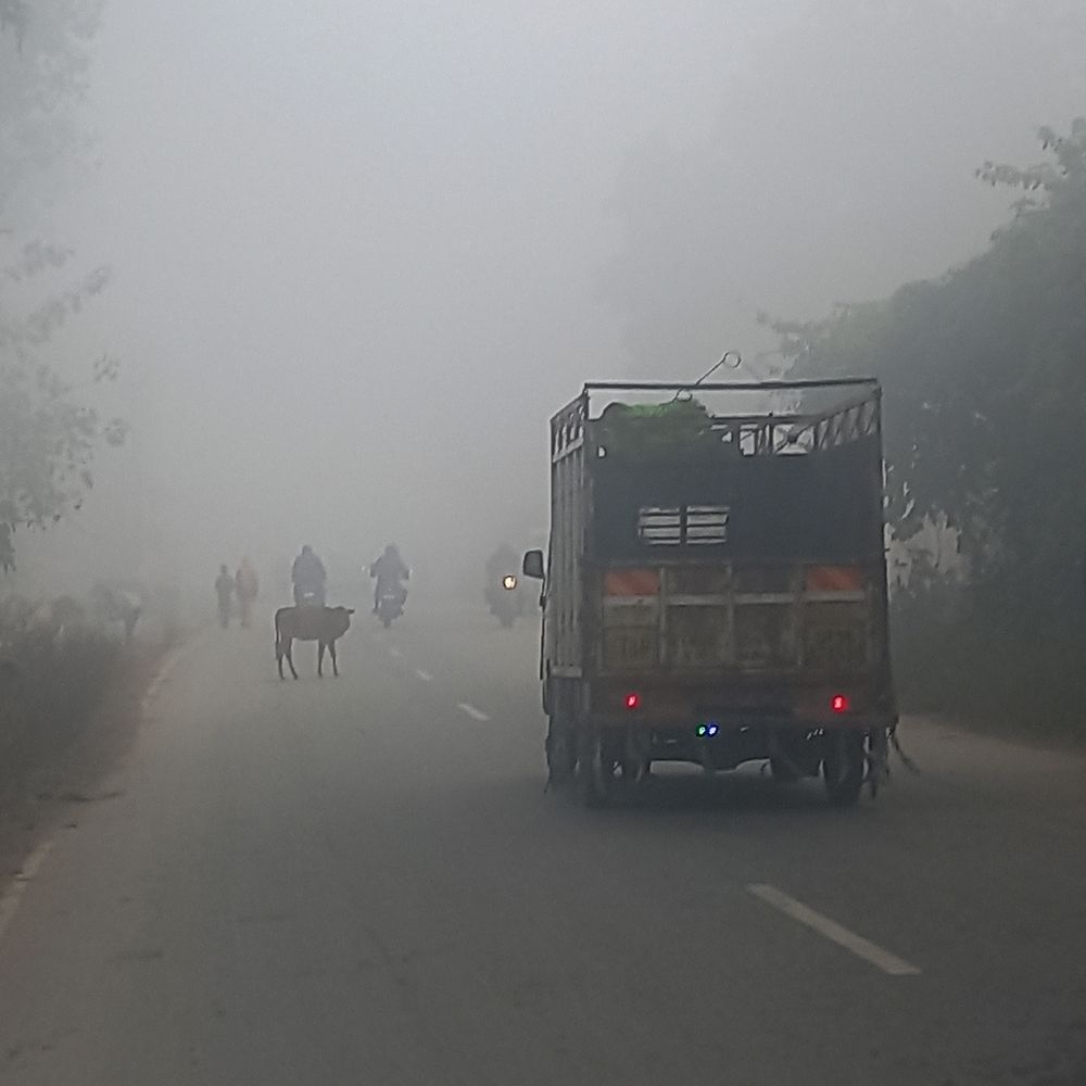 जहानाबाद में सुबह 11 बजे तक छाया रहा कोहरा, 8 डिग्री पर लुढ़का पारा