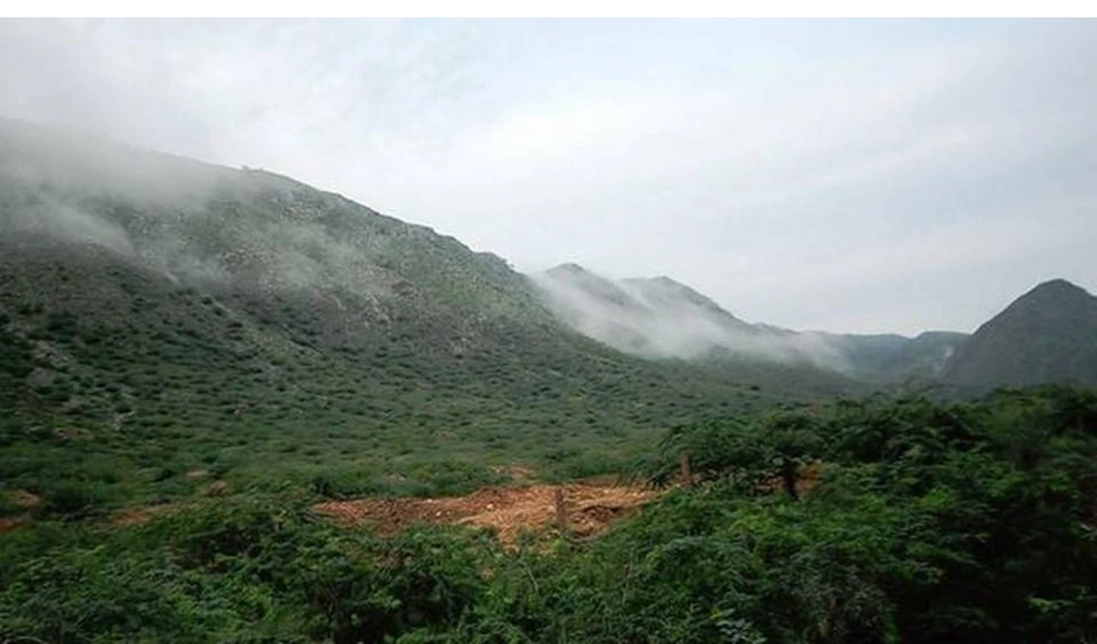 Aravalli की नई परिभाषा पर सवाल, वरिष्ठ वकील ने CJI से की पुनर्विचार की मांग: पर्यावरण संरक्षण पर खतरा?