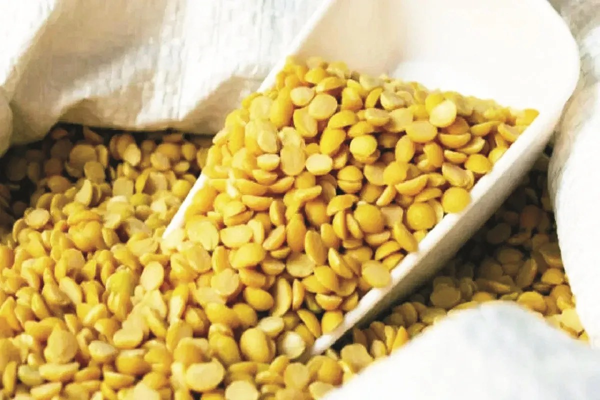 PM ASHA Yojana: दलहन-तिलहन की भी MSP पर होगी खरीदी, केंद्र ने 425 करोड़ रुपए किए मंजूर