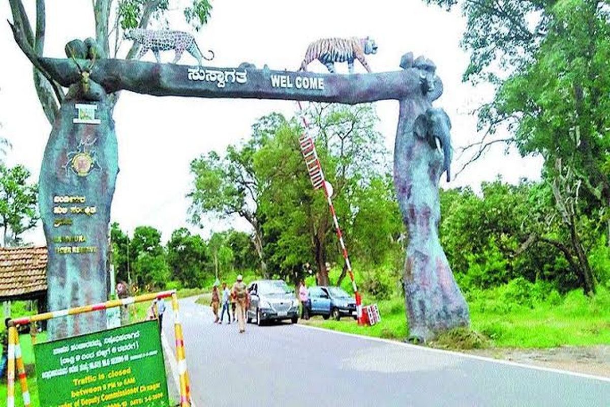 सफारी पर प्रतिबंध से वन क्षेत्रों के रिसॉर्ट संकट में, बुकिंग रिकॉर्ड निचले स्तर पर