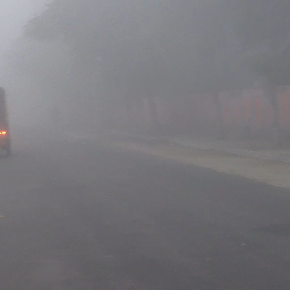 होशियार पुर में घना कोहरा, कड़ाके की ठंड:पौष महीने के पहले दिन शीतलहर, जनजीवन प्रभावित, सड़कों पर धीमी हुई रफ्तार