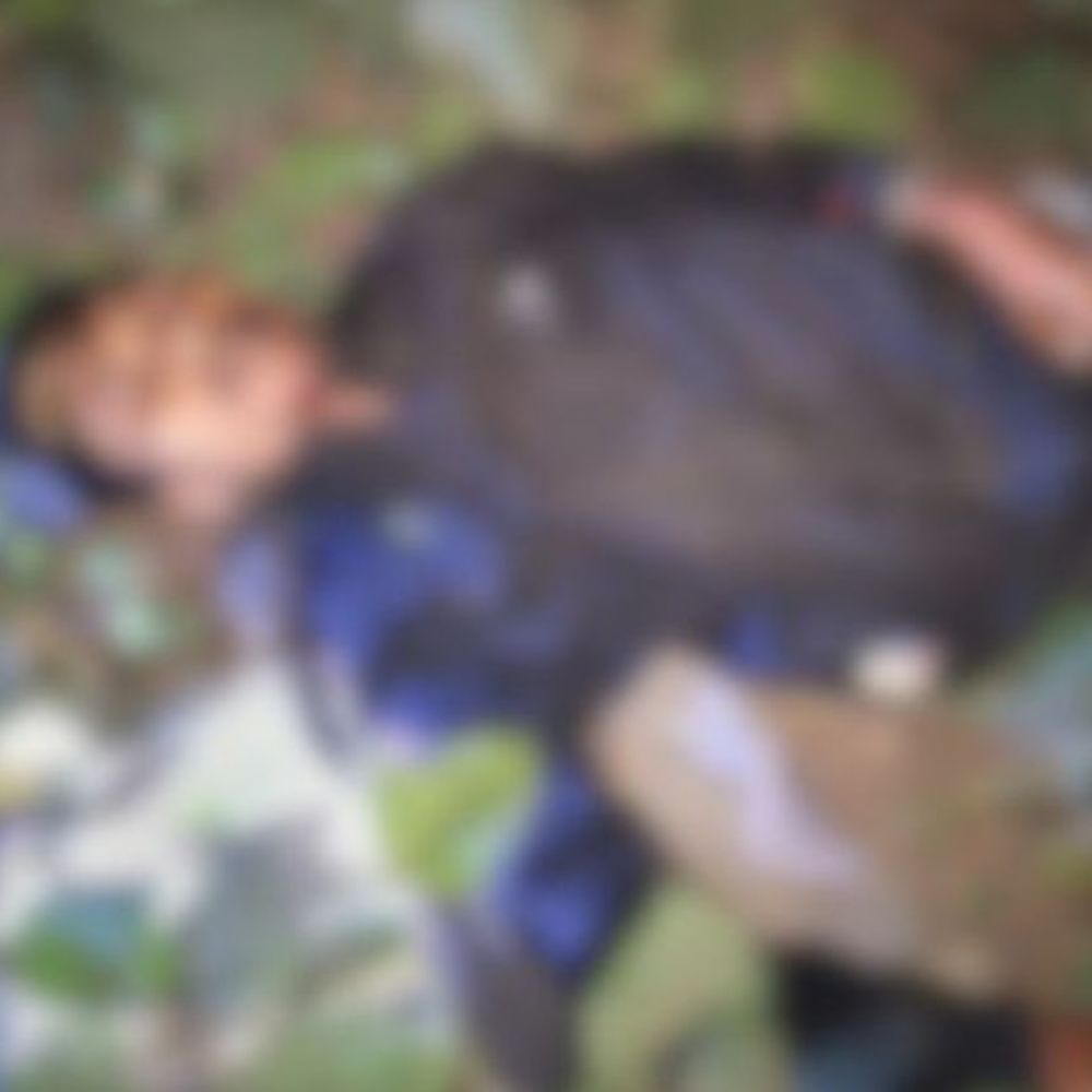 जगदीशपुर में बाइक पेड़ से टकराई, युवक की मौत:चचेरे भाई के ससुराल जा रहा था, दो अन्य घायल की हालत नाजुक