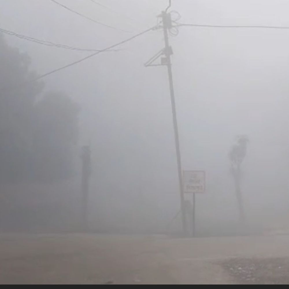 गोगरी प्रखंड में घना कोहरा और शीतलहर से जनजीवन प्रभावित:अलाव के सहारे ठंड से बचाव, दुर्घटनाओं की आशंका बढ़ी; लोगों को परेशानी हो रही