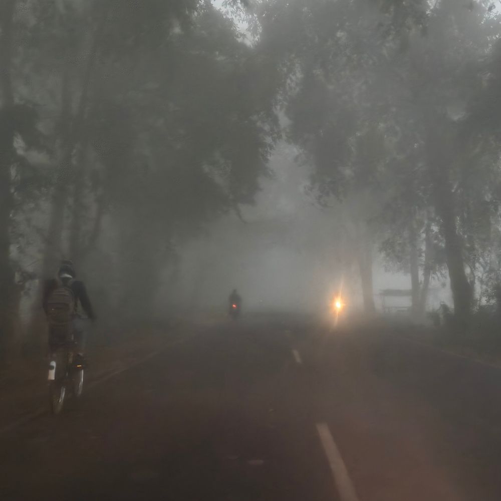 लखीमपुर खीरी में दूसरे दिन घना कोहरा:गलन बढ़ी, दिन में भी छाया रहा अंधेरा, 2 दिन से नहीं निकली धूप