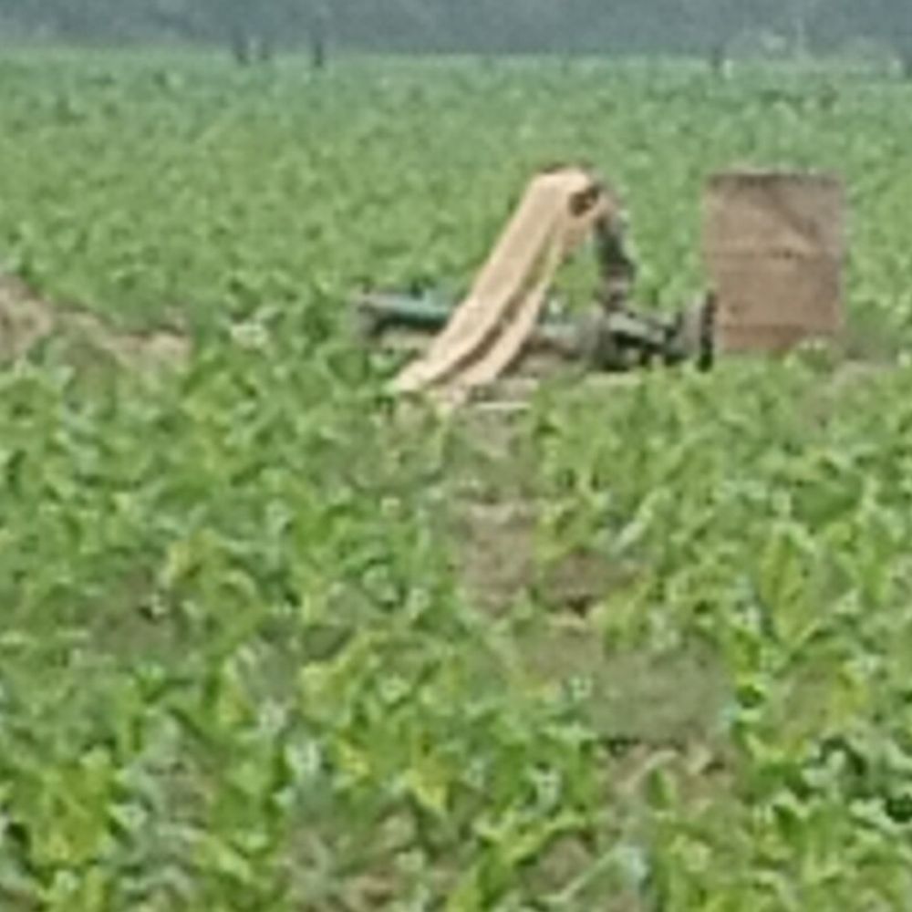 गोगरी में बढ़ती ठंड से किसानों में चिंता बढ़ी:डीएओ ने बोला- आलू, प्याज, मिर्च, सरसों की फसलें प्रभावित हो सकती हैं