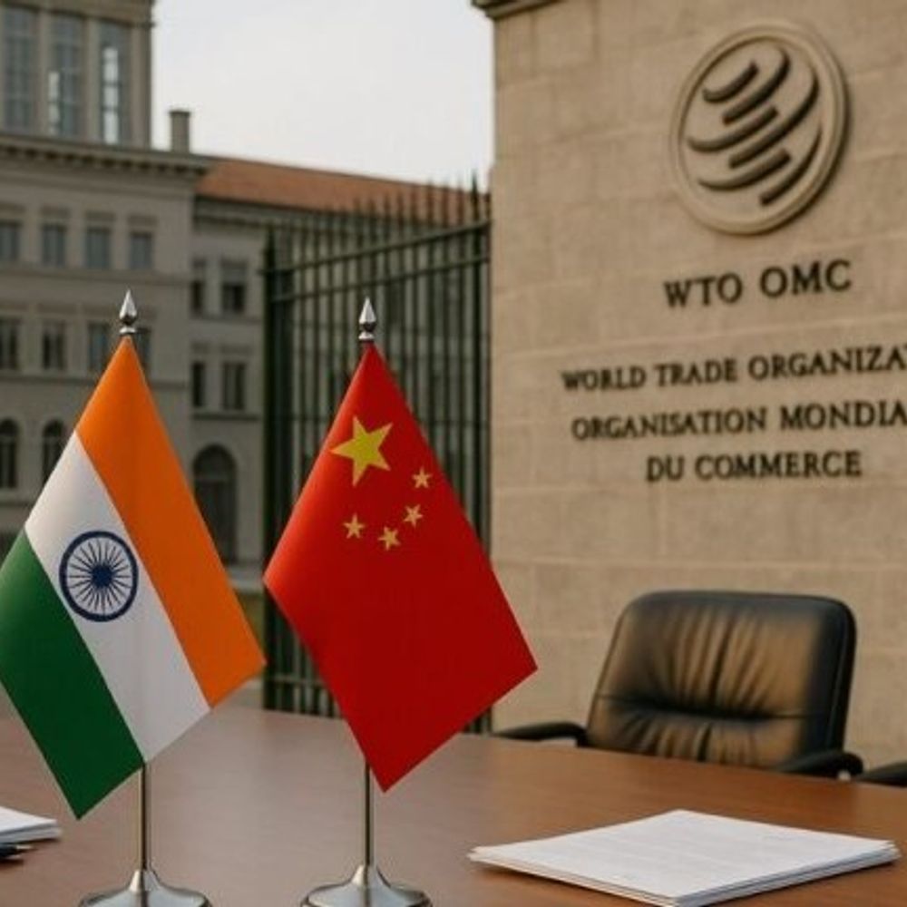 चीन ने दूसरी बार WTO में भारत की शिकायत की:बोला- भारत की सोलर सब्सिडी से चीनी प्रोडक्टस को नुकसान; EV-सब्सिडी पर भी विरोध जता चुका