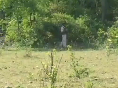 उधमपुर में लगातार दूसरे दिन एनकाउंटर, दो जवान घायल:कल एक पुलिसकर्मी की जान गई थी; एक आतंकवादी के जख्मी होने की आशंका