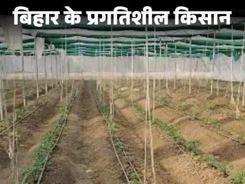 धान के बाद गेहूं नहीं…खरबूज-तरबूज उगाते हैं बक्सर के अंकित:बिजनेस छोड़ मॉर्डन खेती से बनाई पहचान, ड्रिप एरिगेशन से पकड़ी समृद्धि की राह