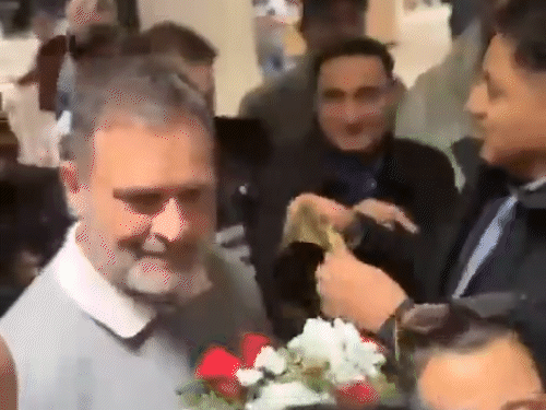 राहुल गांधी जर्मनी पहुंचे:बर्लिन में आज इंडियन ओवरसीज कांग्रेस के कार्यक्रम में शामिल होंगे; 6 महीनों में चौथा विदेश दौरा