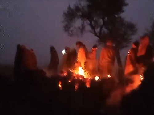 भागलपुर में 10 बीघा धान के फसल में लगी आग:2 लाख का नुकसान, पीड़ित परिवार बोला- सोचा था बेचकर कर्ज उतारएंगे, एक झटके में सब खत्म हो गया