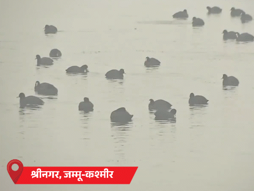 दिल्ली में कोहरे के चलते 16 फ्लाइट कैंसिल:MP में ट्रेनें 8 घंटे तक लेट, उत्तराखंड में हेमकुंड साहिब का सरोवर जमा