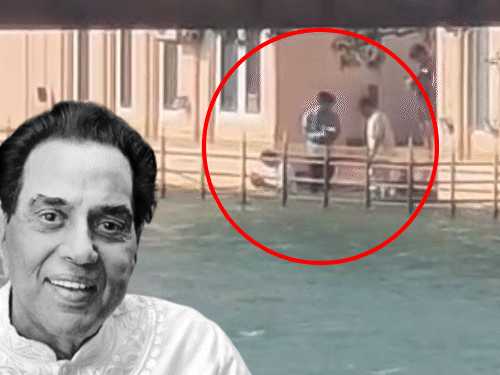 एक्टर धर्मेंद्र की अस्थियां हरिद्वार में विसर्जित:सनी के बेटे ने गंगा में प्रवाहित कीं, पूरा देओल परिवार मौजूद रहा