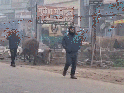 मुजफ्फरपुर में बढ़ी ठिठुरन, जनजीवन और यातायात प्रभावित:लो विजिबिलिटी-कोहरे से परेशानी, स्कूलों की टाइमिंग बदली; न्यूनतम तापमान 12 डिग्री