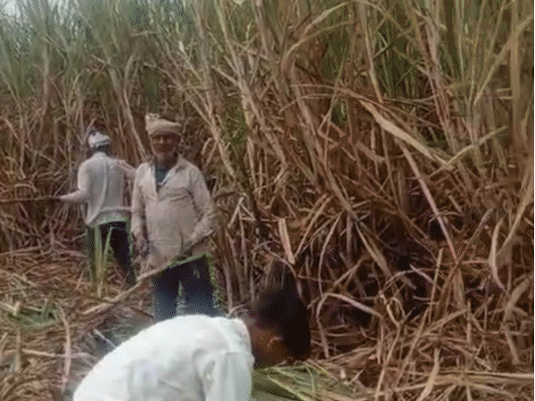 मजदूरी मांगी तो लाठियों से पीटा, तब लगा फंस गए:कमरे में बंद कर 14-15 लोग पहरा देते, भतीजे की मौत के बाद भी घर नहीं जाने दिया