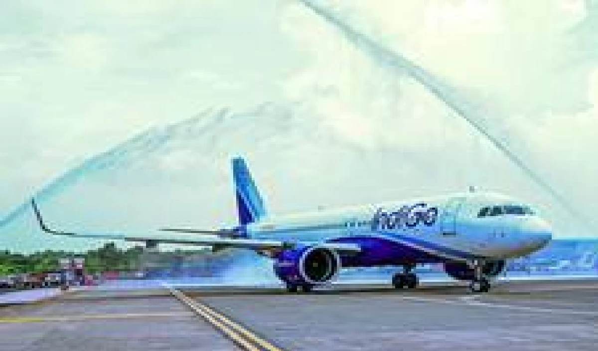 घने कोहरे के कारण दिल्ली हवाई अड्डे पर100 से अधिक उड़ानें रद्द हुईं, इंडिगो ने जारी की चेतावनी