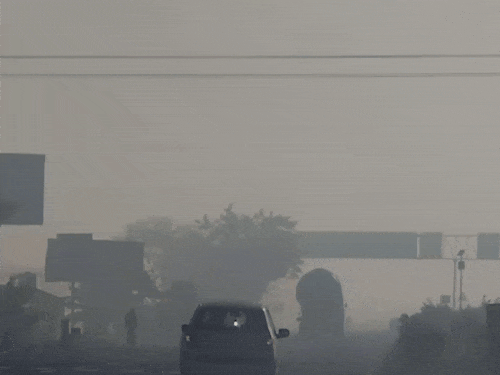 पंजाब के 12 जिलों में घने कोहरे का अलर्ट:आज तेज हवाएं चलेंगी, कई जगह विजिबिलिटी 50 मीटर से कम; 6 फ्लाइट रद्द