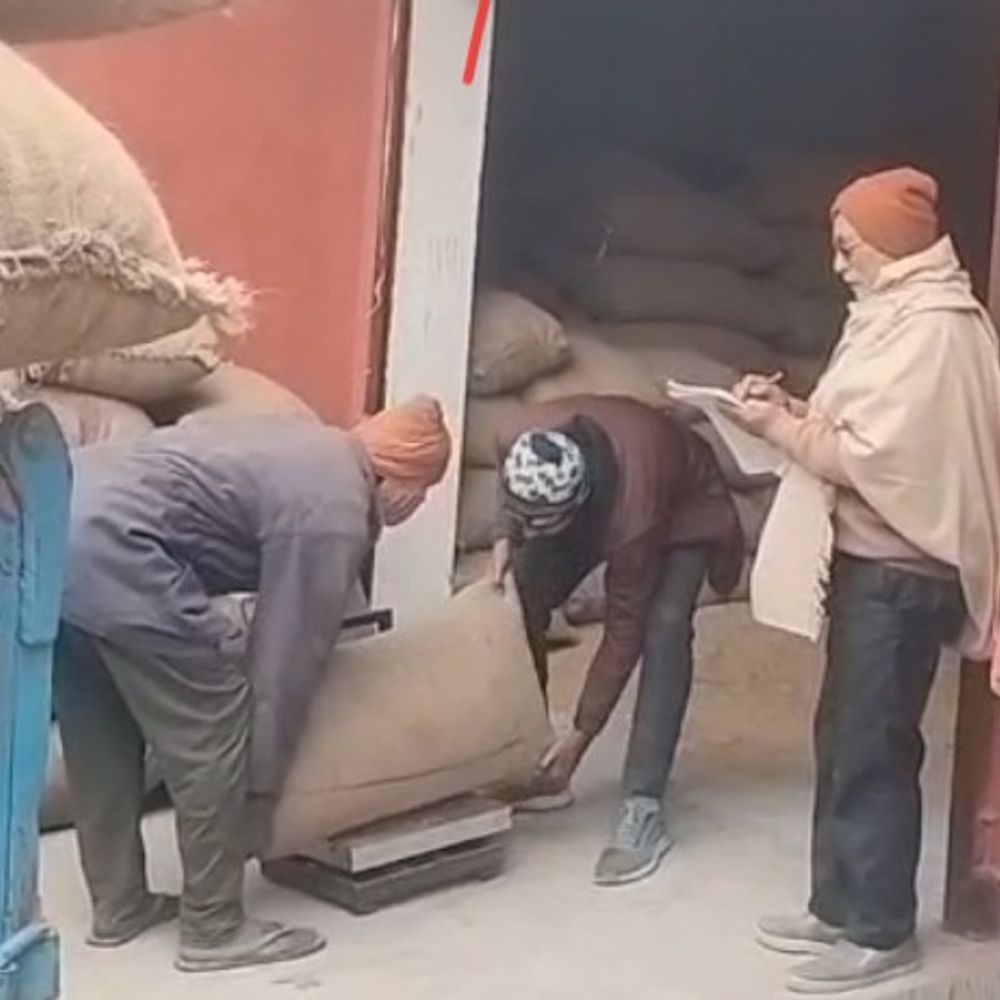 सहरसा में पैक्सों पर रफ्तार पकड़ रही धान अधिप्राप्ति:चैनपुर पैक्स में 50 किसानों से 2800 क्विंटल खरीद, MSP पर भुगतान से किसान संतुष्ट