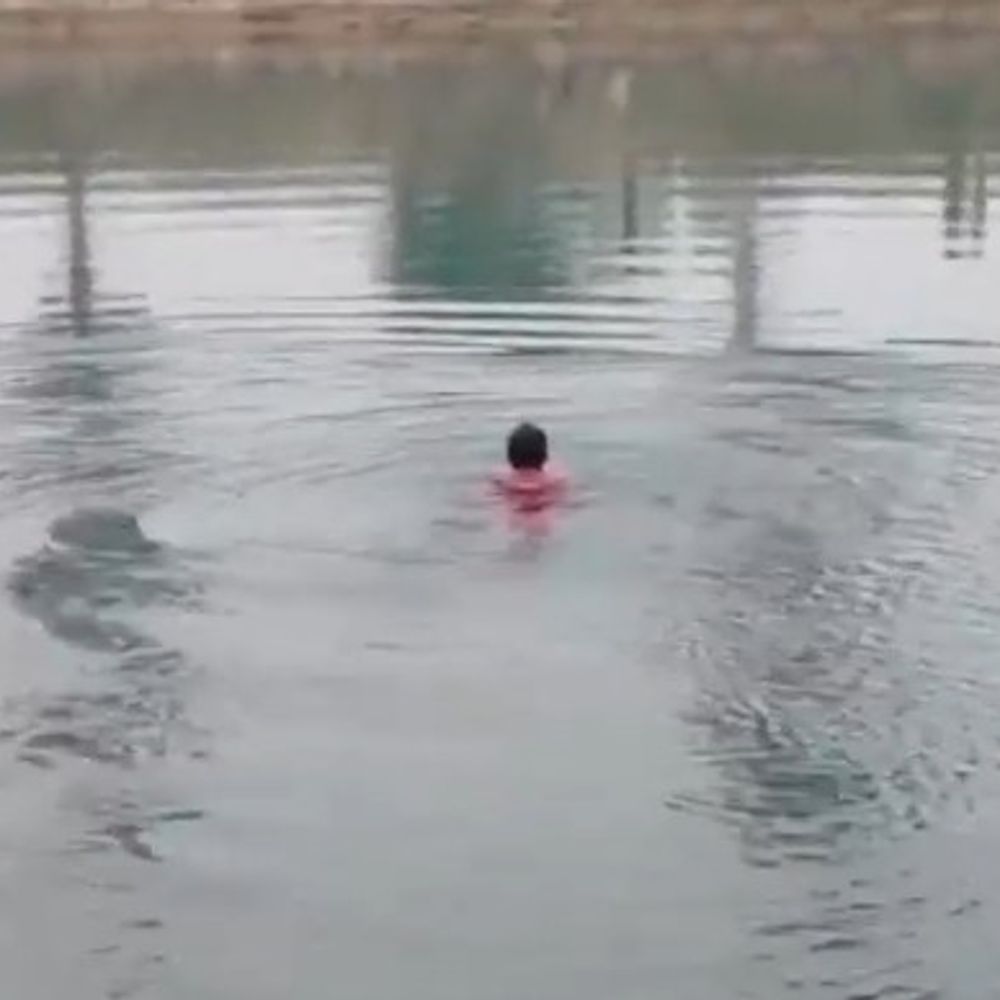 श्रावस्ती में सरयू मुख्य नहर में कूदी महिला:चरवाहों ने बचाने का किया प्रयास, पुलिस ने शुरू की तलाश