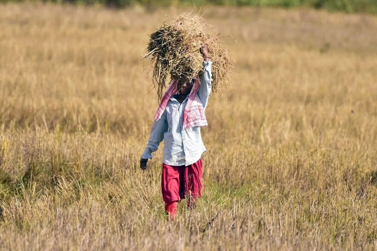 2025 बना किसानों का साल! यूपी सरकार की इन 5 योजनाओं ने बदल दी खेती की तस्वीर, यहां जानें नाम