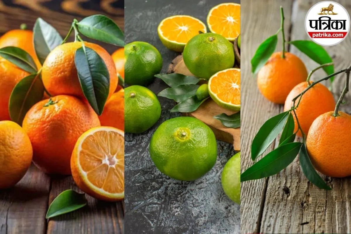 Orange Vs Mosambi Vs Kinnow: संतरा, मौसंबी या किन्नू, स्वाद और सेहत के हिसाब से कौन है नंबर 1?