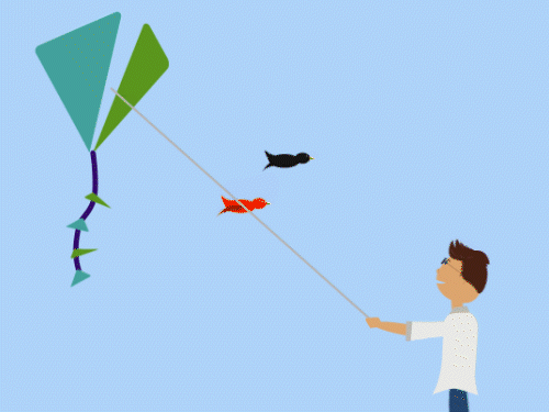 फ्लाई-पास्ट अभ्यास के दौरान जयपुर में नहीं उड़ा सकेंगे पतंग:5 किमी दायरे में 2 से 15 जनवरी तक लागू रहेगा आदेश; जाने सेना दिवस पर कहां लागू होगा प्रतबिंध