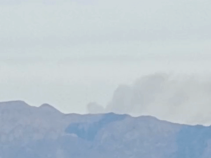 उत्तराखंड में जानवरों को मारने के लिए लगाई आग:शिकारी सक्रिय, कस्तूरी मृग इलाकों को खतरा; DFO ने टीम भेजी