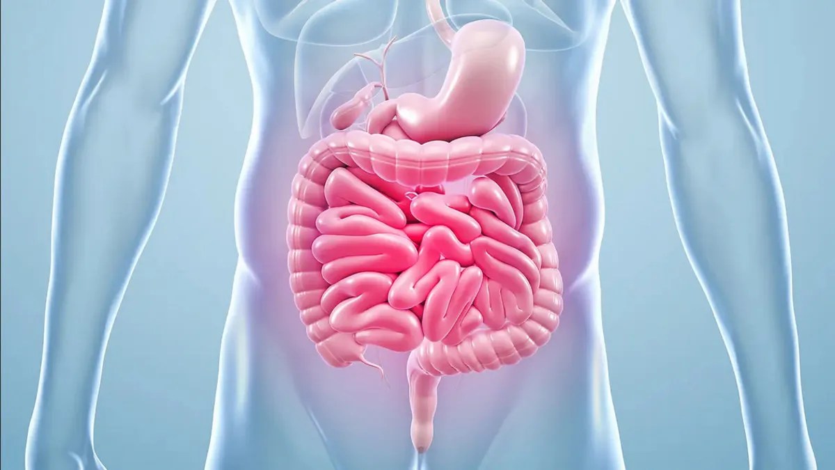 साथ रहने वालों के जीन भी करते हैं आंतों की सेहत को प्रभावित, रिसर्च में हुआ खुलासा