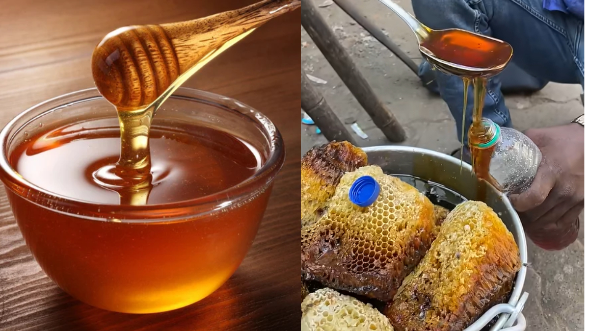 शहद बेचने वाले भैया ने बताई खास ट्रिक, ये 1 चीज डालकर रखने से कड़ाके की ठंड में भी नहीं जमेगा शहद
