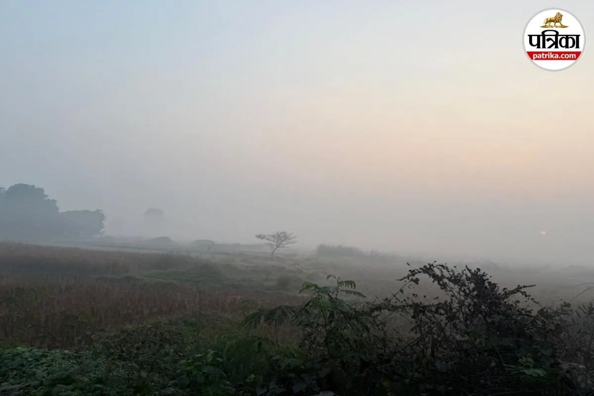 Bihar Weather: जेट स्ट्रीम और पछुआ हवा से बिगड़ा मौसम, 24 जिलों में कोल्ड डे का अलर्ट, गयाजी रहा सबसे ठंडा