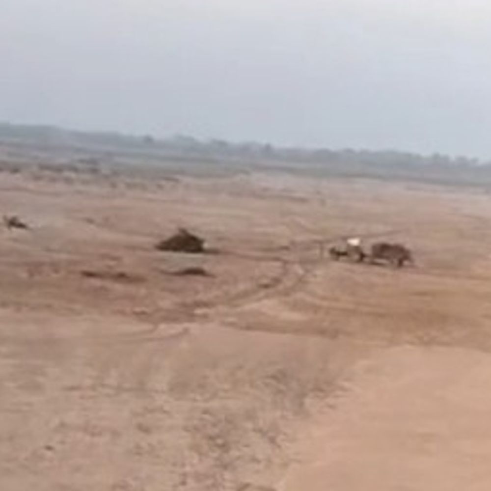 तवा पुल के 100 फीट दायरे में अवैध रेत उत्खनन:दिन में ट्रॉली, रात में डंपरों से परिवहन; पुल के पिलरों को खतरा