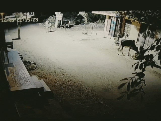 जोधपुर में तेज धमाके की आवाज से दहशत:घरों से बाहर निकले लोग, पुलिस बोली-फाइटर जेट सोनिक बूम की आवाज थी