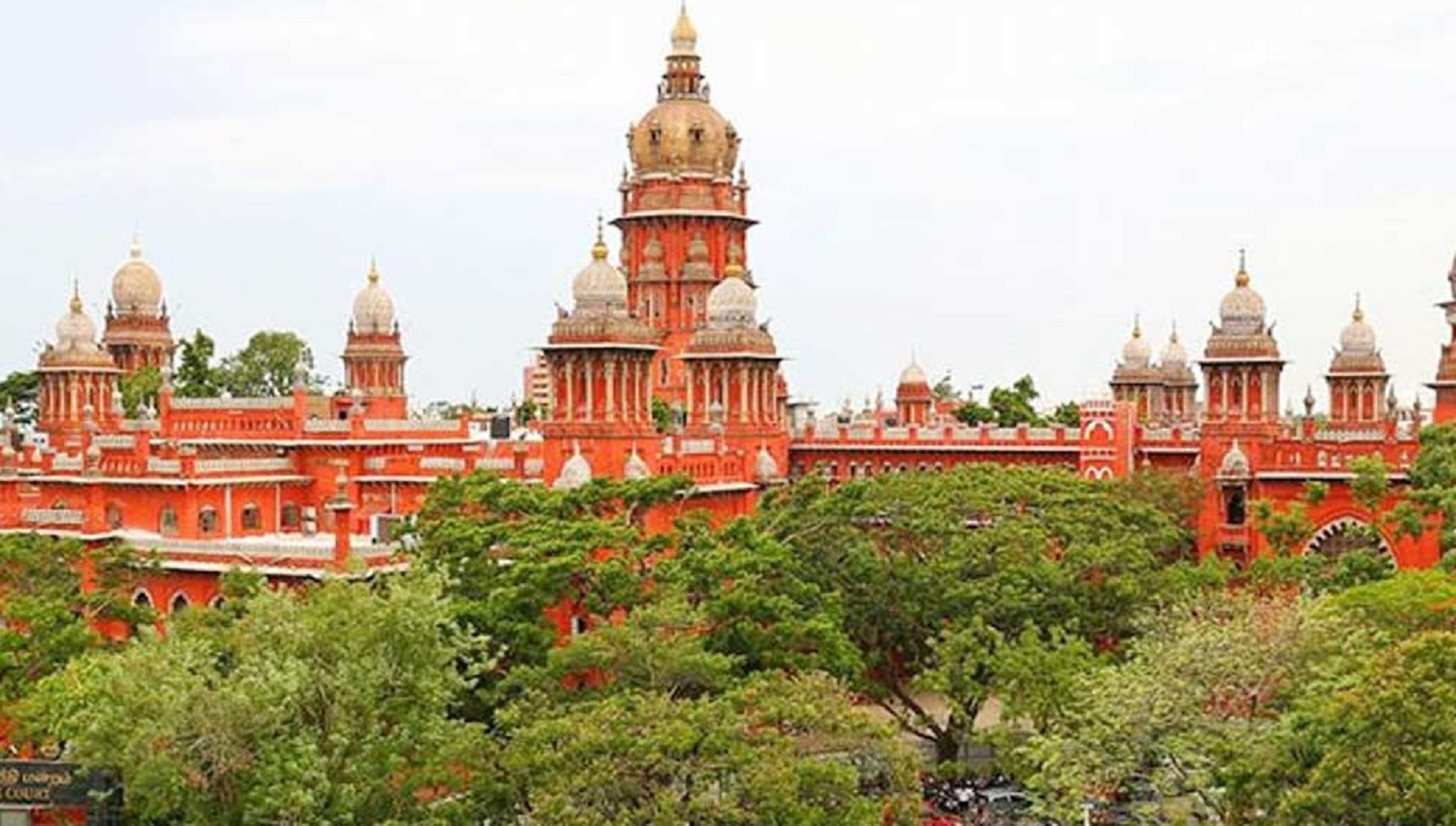 ‘सोलह से कम उम्र के नाबालिगों के इंटरनेट उपयोग पर बैन लगाने पर विचार करे केंद्र सरकार’