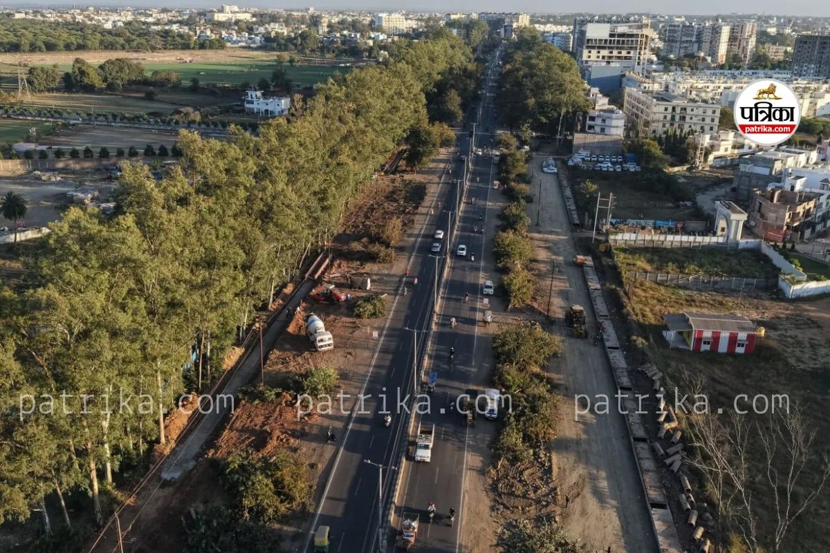 भोपाल में 7 हजार से अधिक पेड़ों की कटाई पर NGT ने लगाई रोक