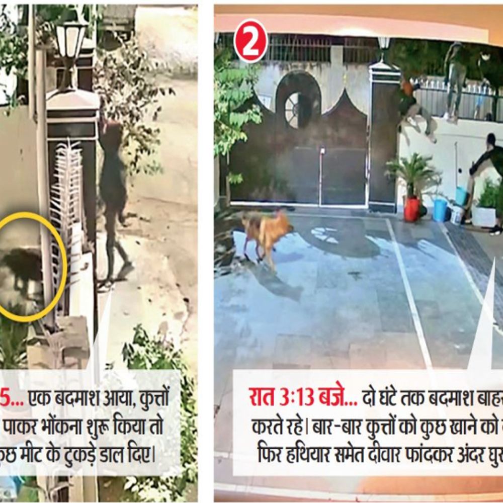 भोपाल में पहली बार ऐसी वारदात…:कुत्तों के लिए मीट फेंका, गेट फांदकर घुसे और 18 लाख कैश व लाखों का जेवर ले उड़े