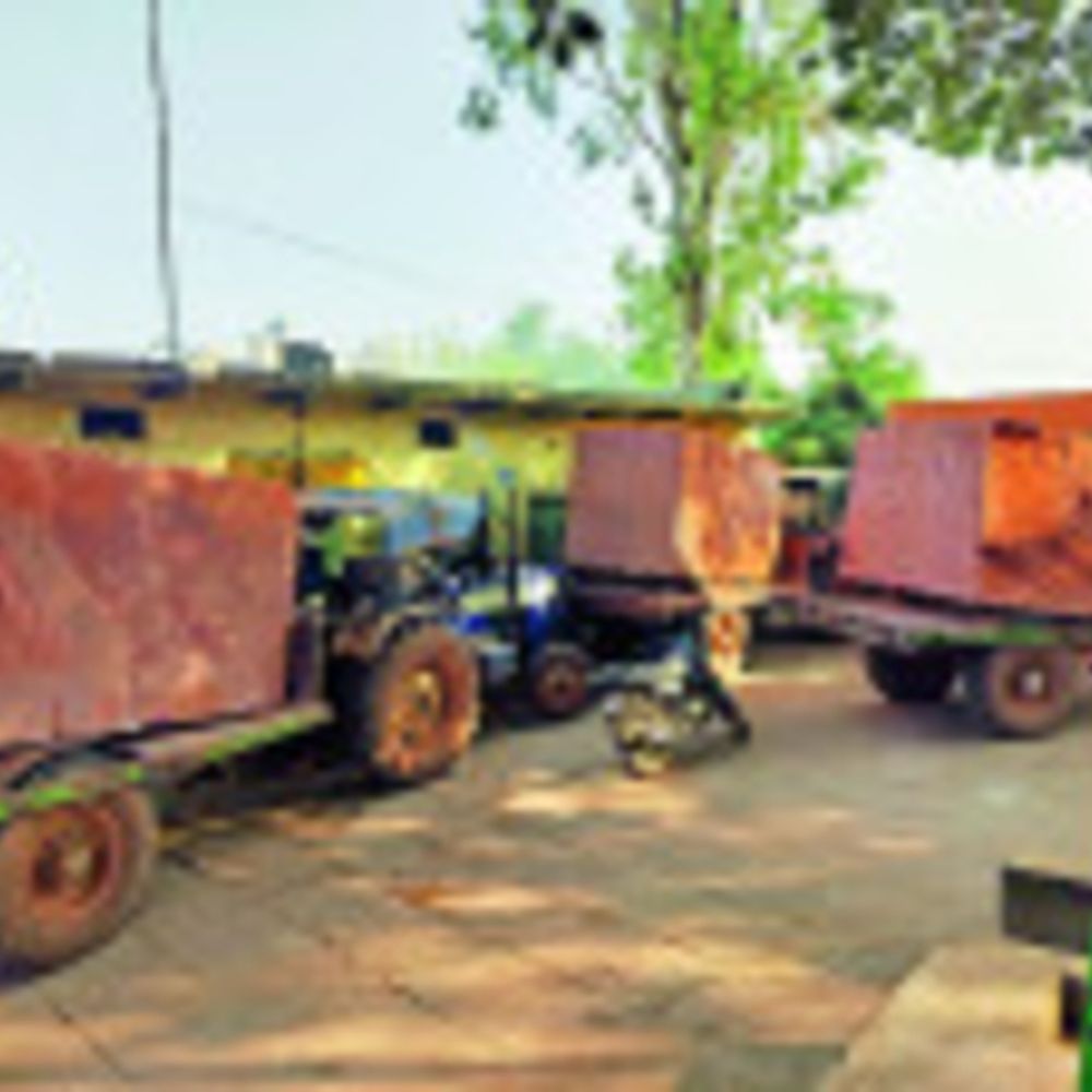 वन विभाग की बड़ी कार्रवाई:सैंड स्टोन से भरी 5 ट्रैक्टर-ट्रॉलियां जब्त, खनन माफिया में हड़कंप मचा