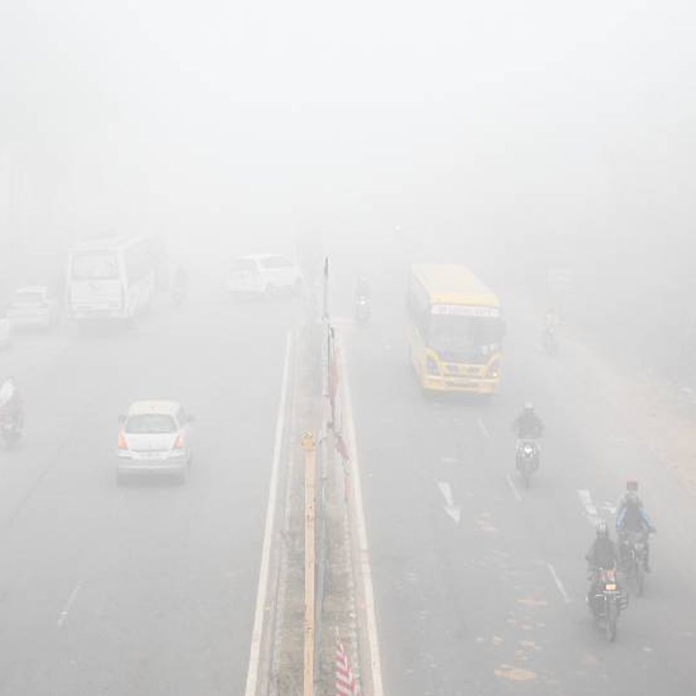 ठंड से 5 की मौत, रांची में यलो अलर्ट:शीतलहर की चपेट में झारखंड, 5 जिलों में पारा 100 से नीचे