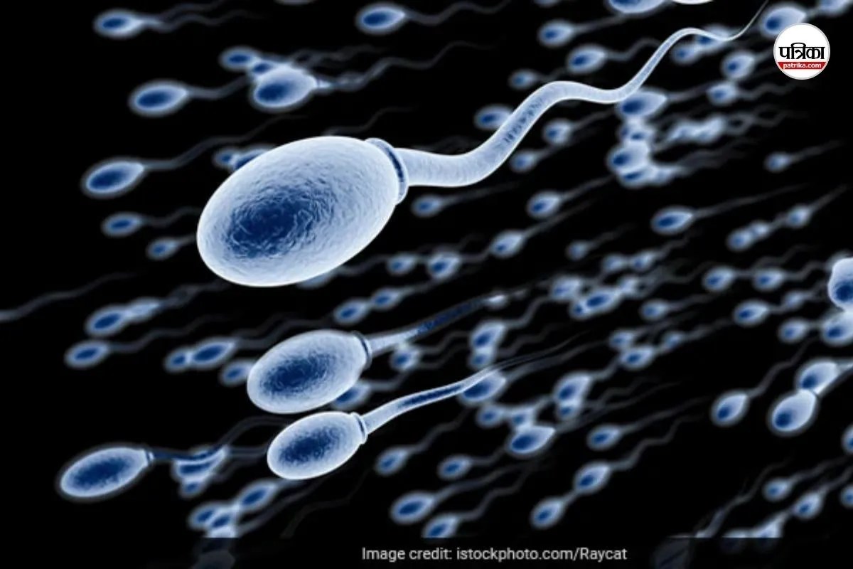 Sperm Race जीतने पर मिलेंगे लाखों रुपए, इस जगह होगा इवेंट; जानें कैसी होती है रेस