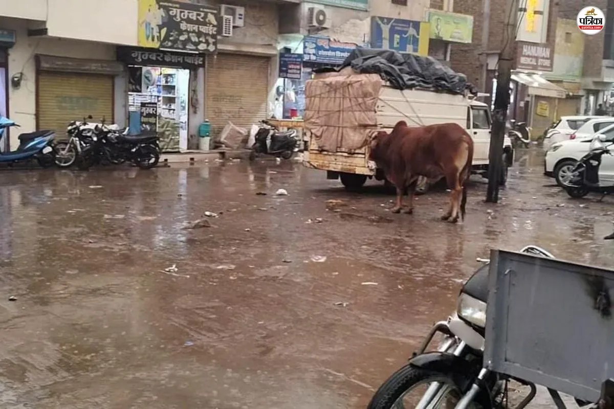 श्री गंगानगर : शीतलहर और बारिश ने पलटा मौसम का मिजाज, तापमान 6 डिग्री से ज्यादा लुढ़का