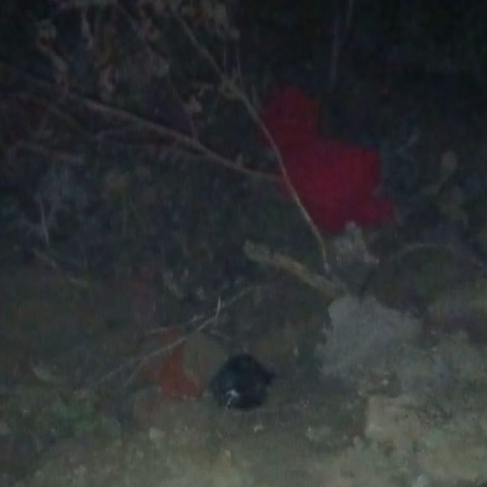 पैकोलिया में झाड़ियों से मिला नवजात का शव:लाल कपड़े में देख सहमे लोग, पुलिस जांच में जुटी