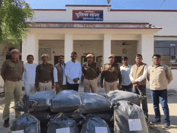 लग्जरी कार में ड्रग्स तस्करी, 3.8 क्विंटल डोडा-पोस्त जब्त:स्टोपर लगाए, पिचर इनोवा को एक किलोमीटर दौड़ाई, अंधेरे में भागें बदमाश