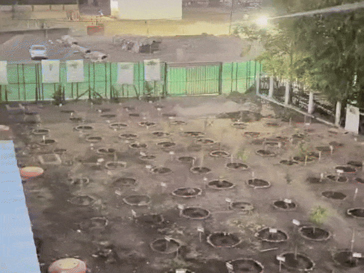 इंदौर के अनोखे गार्डन में इंसानों की एंट्री बैन:पक्षी ही यहां आ सकेंगे, भोजन के लिए 300 से ज्यादा फलदार हाईब्रिड पौधे भी लगाए