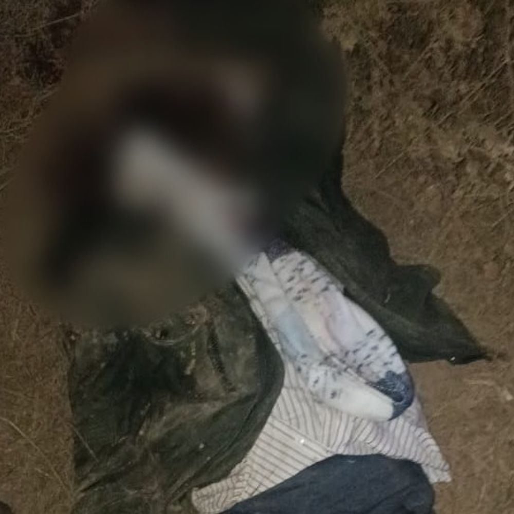 मैनपुरी में ट्रैक्टर-ट्रॉली ने बाइक सवार को टक्कर मारी:उछलकर झाड़ियों में जा गिरा, फिरोजाबाद के युवक की मौके पर मौत