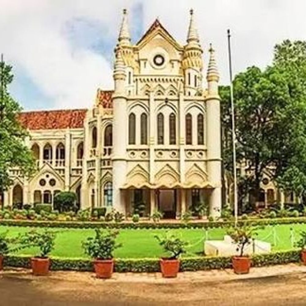 एमपी हाईकोर्ट ने अफगानी युवक की याचिका खारिज की:कहा- बिना वीजा भारत में रहने का हक नहीं; एफआईआर को लीगल बताया