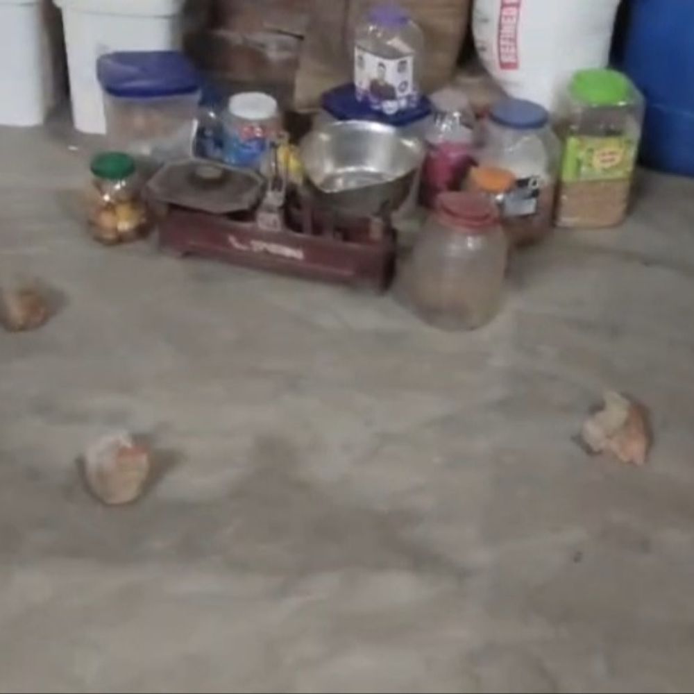 दरभंगा में 2 समुदाय के बीच पत्थरबाजी:मूर्ति विसर्जन में भक्ति गाना बजाने को लेकर हुआ था विवाद, हमले में 6 लोग घायल