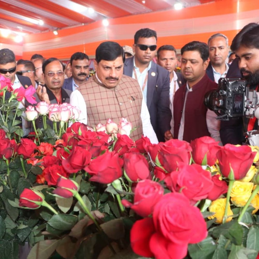 गुना के गुलाबों को मिले चार प्रथम पुरस्कार:राज्य पुष्प महोत्सव में सीएम ने की गुना के गुलाबों की तारीफ; अनुदान का चेक सौंपा