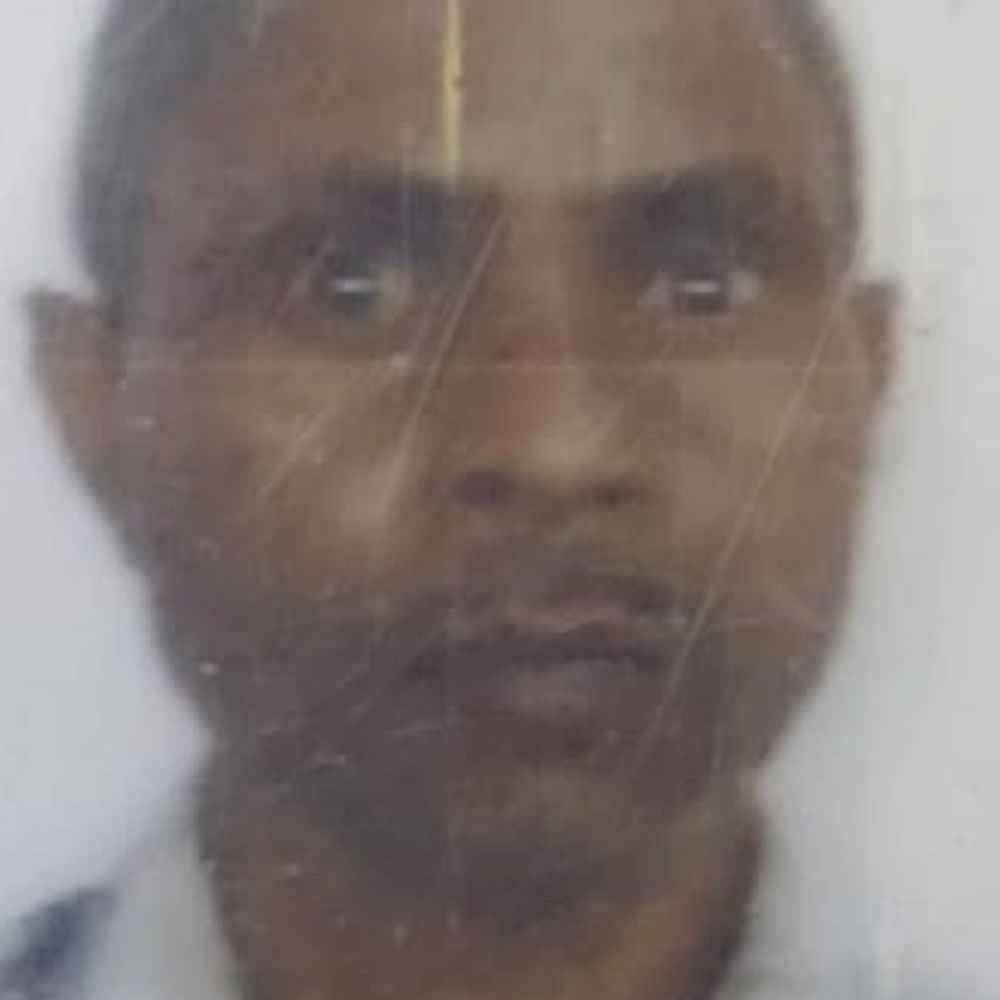 भोजपुर में सड़क हादसे में घायल मजदूर की मौत:धान का बोझा लेकर रोड क्रॉस कर रहे थे, तेज रफ्तार बाइक सवार ने मारी टक्कर