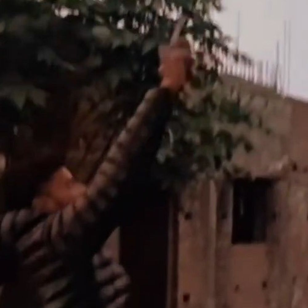 भोजपुर में फायरिंग का वीडियो वायरल:बाइक स्टंट और ‘किंग ऑफ गड़हनी’ के नाम से दहशत फैलाने की कोशिश; चार नामजद समेत 5 पर FIR