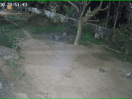 दौसा में लेपर्ड के मूवमेंट से लोगों में दहशत:दिन में पहाडी पर दिखे लेपर्ड ने रात को घर के आंगन में सो रहे कुत्ते पर किया हमला